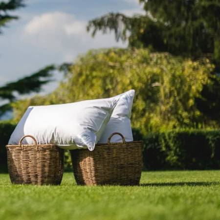 Guanciale Daunex in piuminod'oca fiocco