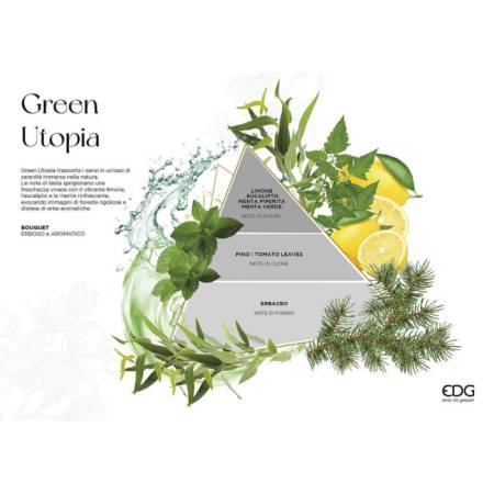Profumo per Ambiente con Bastoncini Bottiglia Classic Green Utopia