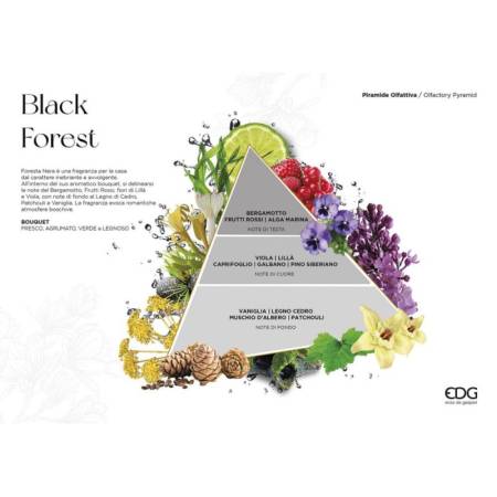 Profumo per Ambiente con Bastoncini Fragrance Black Forest