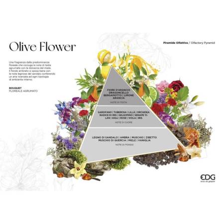 Profumo per Ambiente con Bastoncini Fragrance Olive Flower