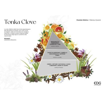 Profumo per Ambiente con Bastoncini Fragrance Tonka Clove 